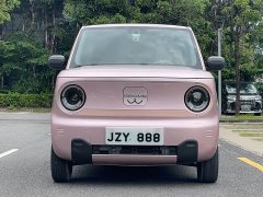 Geely Panda Mini 200km Endurance Edition - ფოტო 2