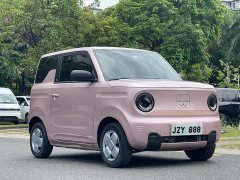Geely Panda Mini 200km Endurance Edition - ფოტო 3