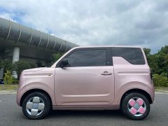 Geely Panda Mini 200km Endurance Edition - ფოტო 4