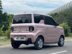 Geely Panda Mini 200km Endurance Edition - ფოტო 7