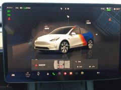 Tesla Model Y Rear-Wheel Drive - ფოტო 13