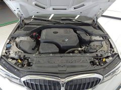 BMW 3 Series 320Li M Sport Package - ფოტო 10