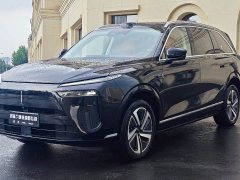 Great Wall WEY Blue Mountain Four-Wheel Drive Max - ფოტო 1