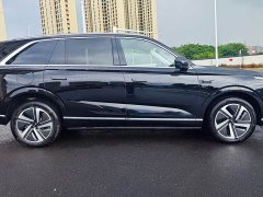 Great Wall WEY Blue Mountain Four-Wheel Drive Max - ფოტო 8