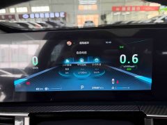 Chery Tiggo 7 PLUS Champion Edition 1.5TCI CVT Luxury - ფოტო 11