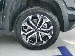 Haval Big Dog PLUS 2023 2.0T AWD Trendy Wilderness Plus - ფოტო 6