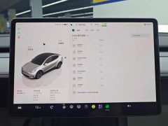 Tesla Model Y 2023 Rear-Wheel Drive - ფოტო 14