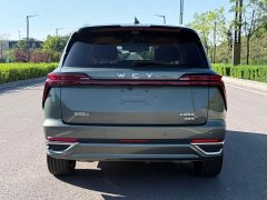 Great Wall WEY Blue Mountain Four-Wheel Drive Max - ფოტო 9