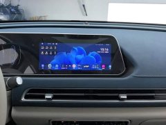 ORA Good Cat 401km Luxury - ფოტო 13