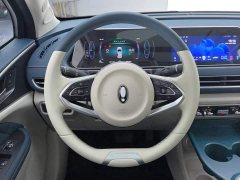 ORA Good Cat 401km Luxury - ფოტო 15