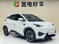 BYD Seagull Smart Driving Edition 305km Freedom Edition - ფოტო 3
