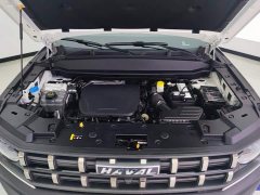 Haval Cool Dog 2022 1.5T DCT FWD Trendy Edition - ფოტო 10