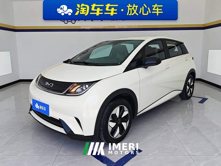 BYD Dolphin 2025 420km Freedom Edition - ავტომობილი ჩინეთიდან