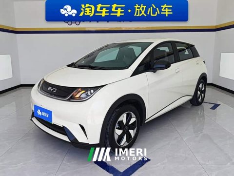 2026 BYD Dolphin 2025 420km Freedom Edition - ავტომობილი ჩინეთიდან