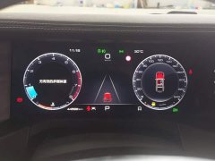 Tank 300 Off-Road Edition 2.0T Conqueror - ფოტო 14