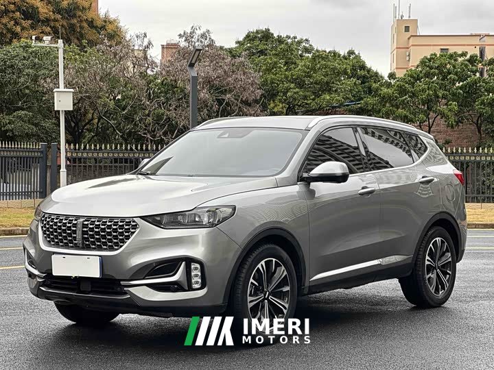 Great Wall WEY VV6 2.0T Two-Wheel Drive Smart Protection Plus