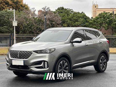 2021 Great Wall WEY VV6 2.0T Two-Wheel Drive Smart Protection Plus - car from China