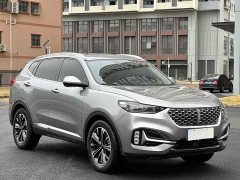 Great Wall WEY VV6 2020 2.0T Two-Wheel Drive Smart Protection Plus - ფოტო 3
