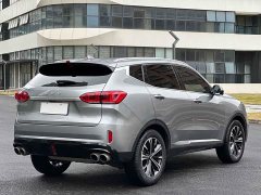 Great Wall WEY VV6 2020 2.0T Two-Wheel Drive Smart Protection Plus - ფოტო 7