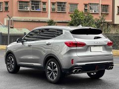Great Wall WEY VV6 2020 2.0T Two-Wheel Drive Smart Protection Plus - ფოტო 9