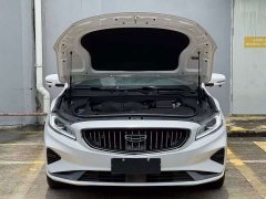 Geely Emgrand 1.8T Pilot Plus - ფოტო 11