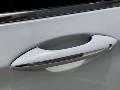 Geely Emgrand 1.8T Pilot Plus - ფოტო 9