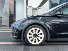 Tesla Model Y Long Range All-Wheel Drive - ფოტო 4