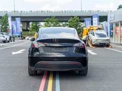 Tesla Model Y Long Range All-Wheel Drive - ფოტო 7