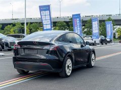 Tesla Model Y Long Range All-Wheel Drive - ფოტო 8