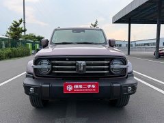 Tank 300 2021 City Edition 2.0T Stylish - ფოტო 2