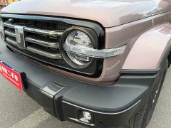 Tank 300 2021 City Edition 2.0T Stylish - ფოტო 20