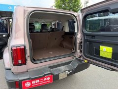 Tank 300 2021 City Edition 2.0T Stylish - ფოტო 9