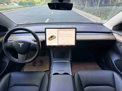 Tesla Model 3 Standard Range RWD Upgrade - ფოტო 13
