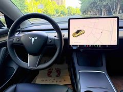 Tesla Model 3 Standard Range RWD Upgrade - ფოტო 15