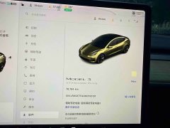 Tesla Model 3 Standard Range RWD Upgrade - ფოტო 18