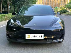 Tesla Model 3 Standard Range RWD Upgrade - ფოტო 2