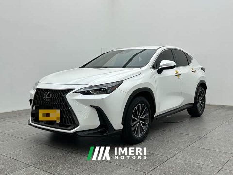 2023 Lexus NX 260 FWD Creative Edition - ავტომობილი ჩინეთიდან