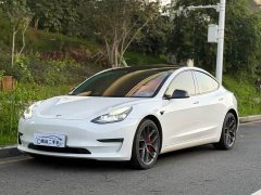 Tesla Model 3 2022 Performance All-Wheel Drive - ფოტო 1