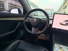 Tesla Model 3 2022 Performance All-Wheel Drive - ფოტო 13