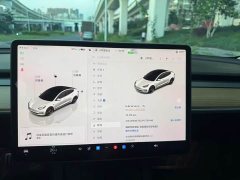 Tesla Model 3 2022 Performance All-Wheel Drive - ფოტო 14