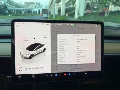 Tesla Model 3 2022 Performance All-Wheel Drive - ფოტო 15