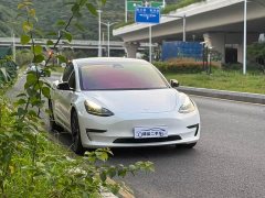 Tesla Model 3 2022 Performance All-Wheel Drive - ფოტო 3