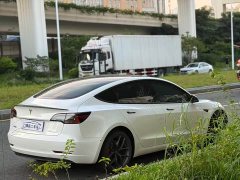 Tesla Model 3 2022 Performance All-Wheel Drive - ფოტო 4