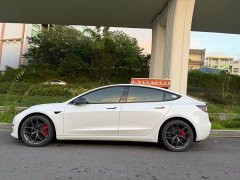 Tesla Model 3 2022 Performance All-Wheel Drive - ფოტო 7