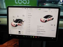 Tesla Model 3 2022 Rear-Wheel Drive - ფოტო 12