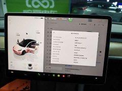 Tesla Model 3 2022 Rear-Wheel Drive - ფოტო 13