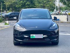 Tesla Model Y Standard Range RWD - ფოტო 2