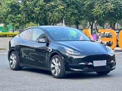 Tesla Model Y Standard Range RWD - ფოტო 3