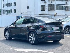 Tesla Model Y Standard Range RWD - ფოტო 8