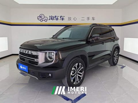 2024 Great Wall Dachshund 1.5T DCT Border Collie Edition - ავტომობილი ჩინეთიდან